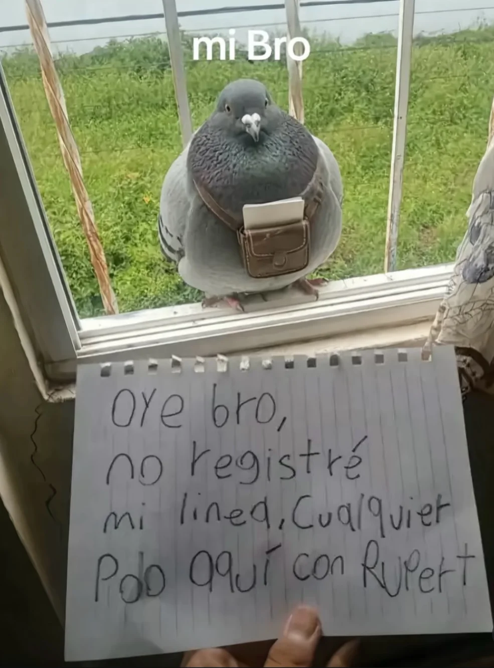 Cuando te quitan tu línea de trabajo: ¡El meme que lo entiende todo!