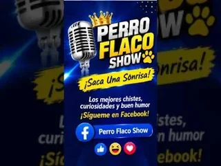 Memes Graciosos: La Dosis de Risa que Necesitas Hoy
