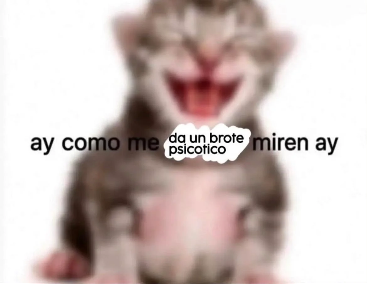 Memes de Martes: La dosis semanal de risas que necesitas