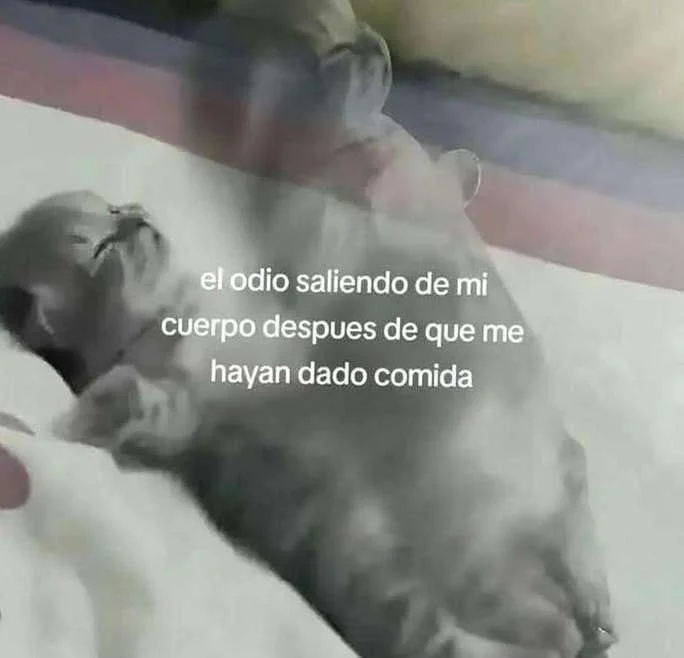 Cuando el hambre ataca: ¡memes que te harán reír a carcajadas!