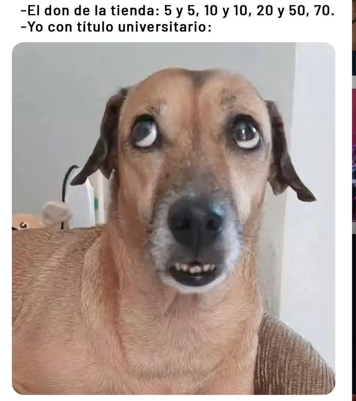 Justo a esa clase de matemática avanzada falte