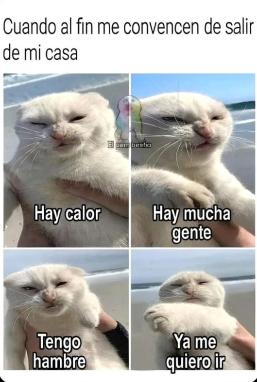 Yo y las personas antisociales