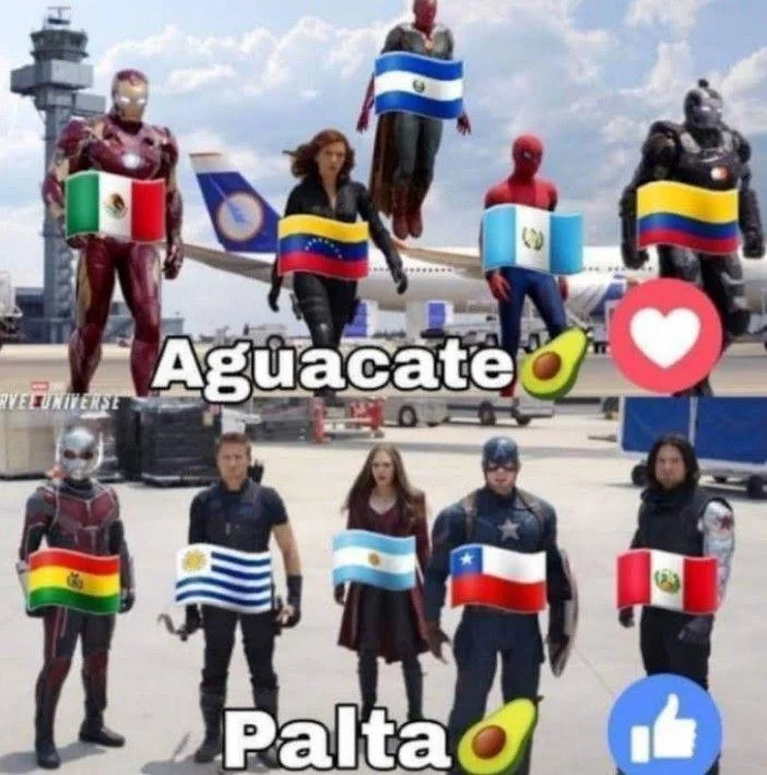 POV: Team Aguacate vs. Team Palta - ¡La batalla épica!