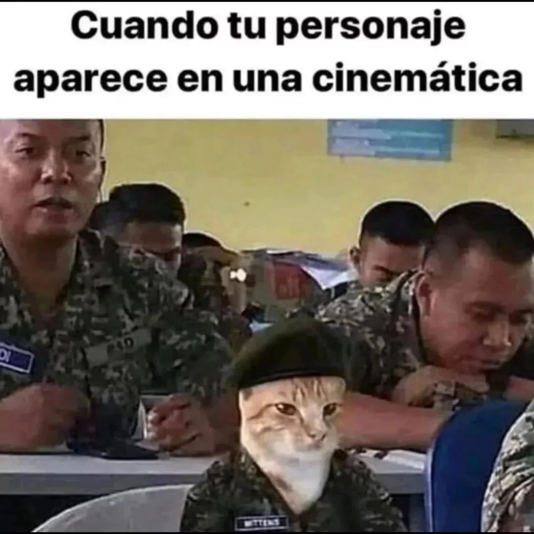 Xd