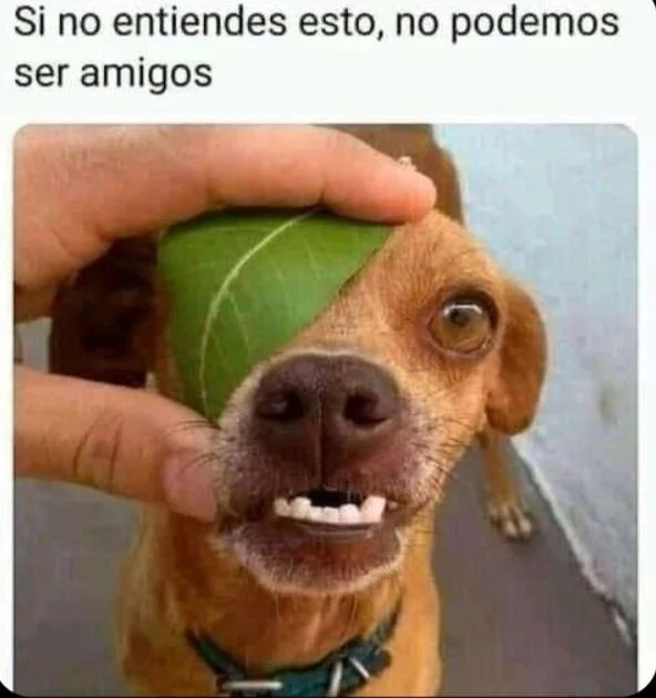 El que entendió, entendió