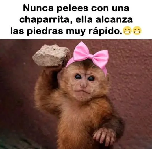 Será cierto?