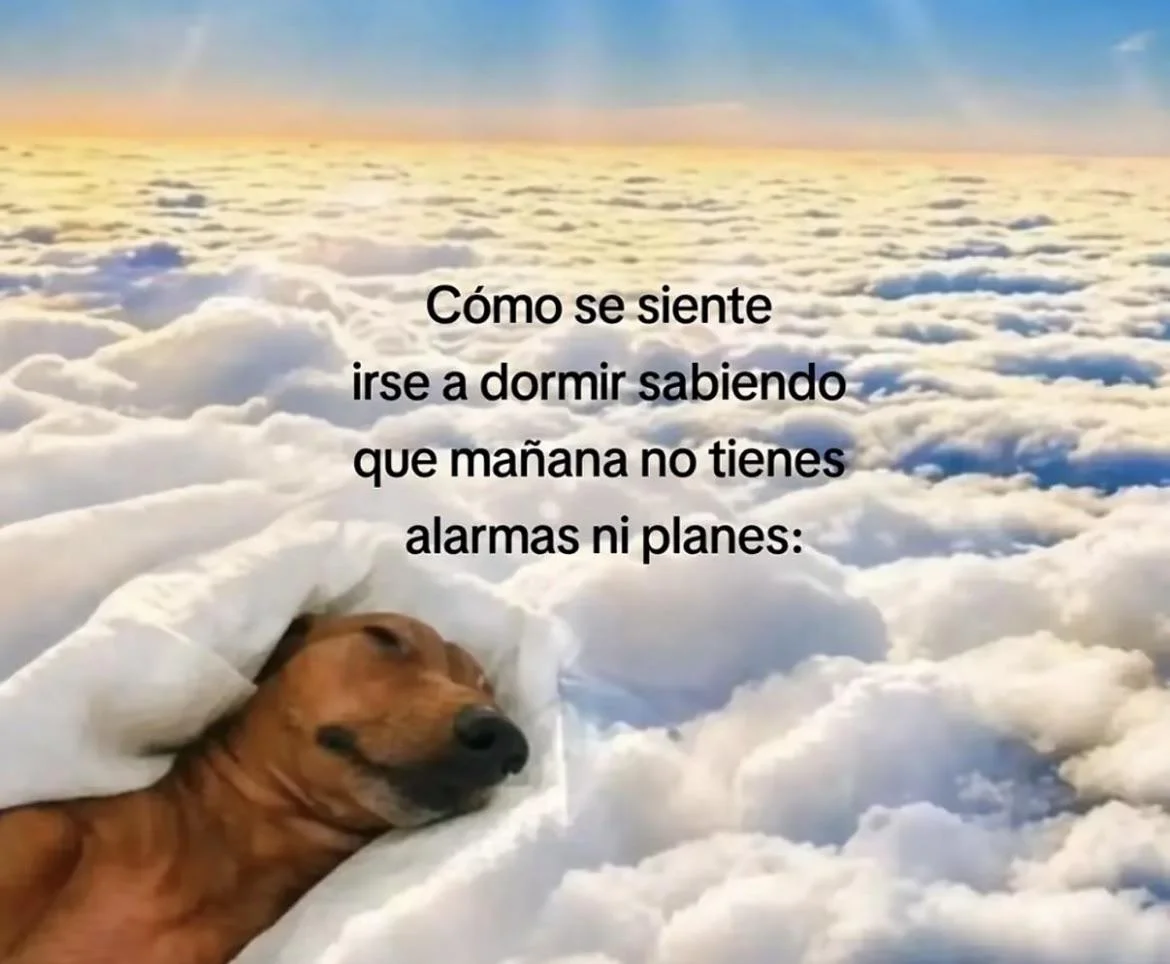 Lo mejor