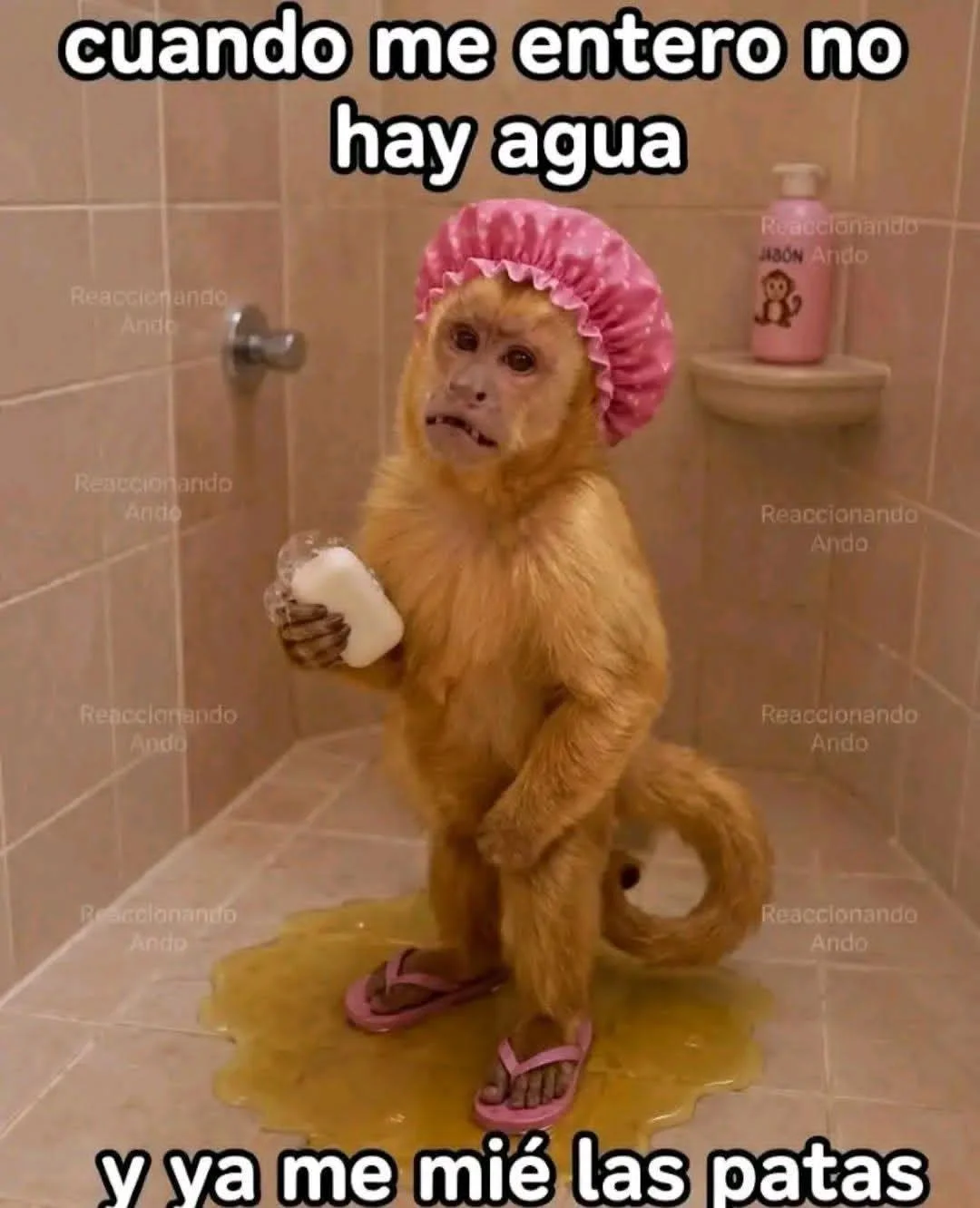 Yo siendo de malas