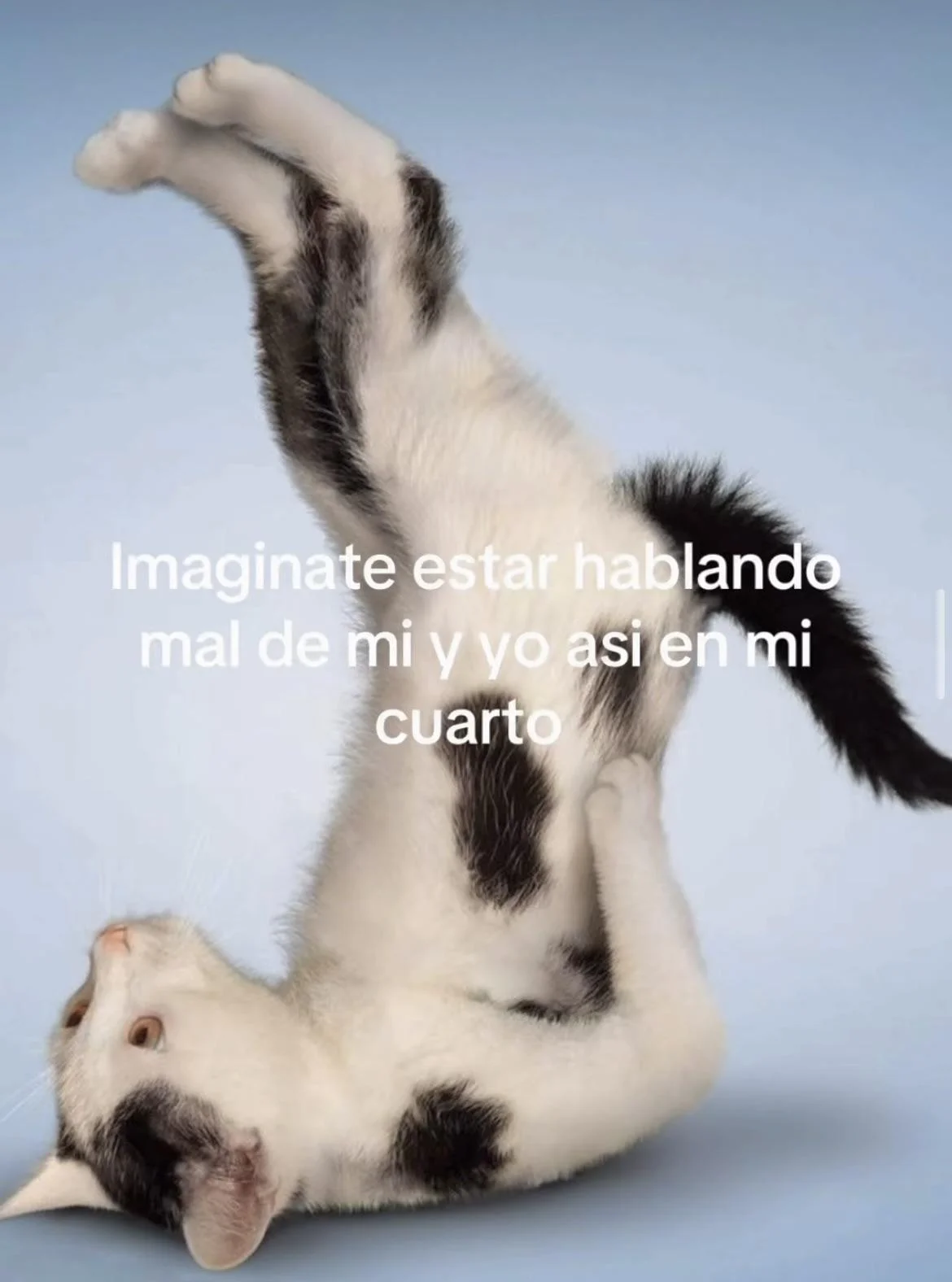 Jajajaja