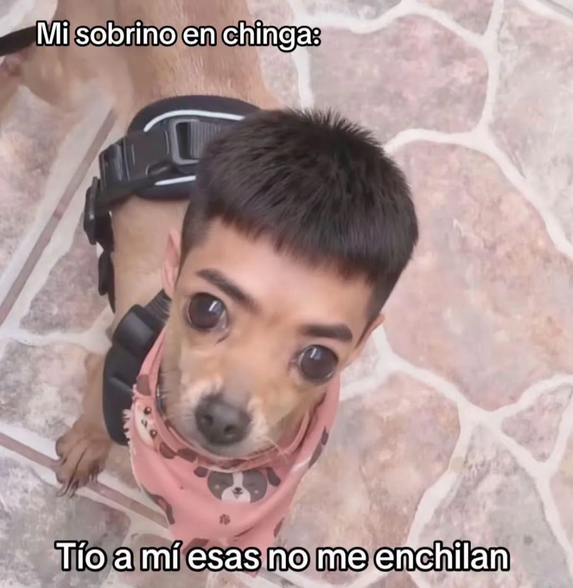 Cuando sacas tus papas con chile: El meme que lo dice todo