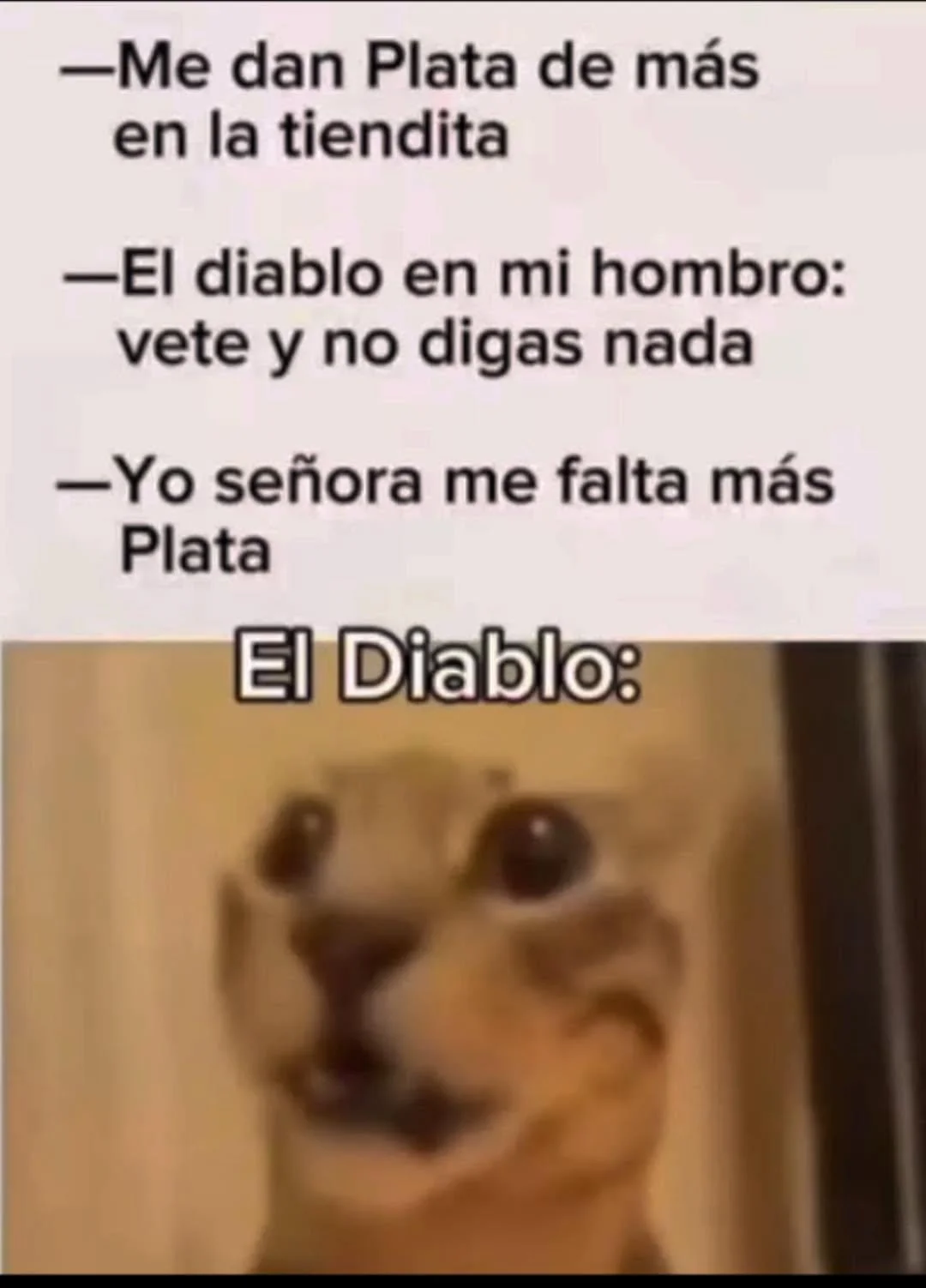 Cuando la realidad supera al meme: "No era así?"