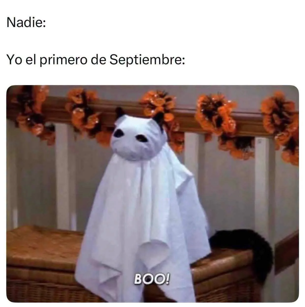Jajaja io: Memes que te harán decir 'soy ese'