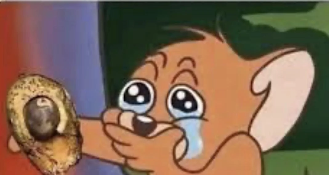 Cuando escondes el aguacate y se te olvida dónde
