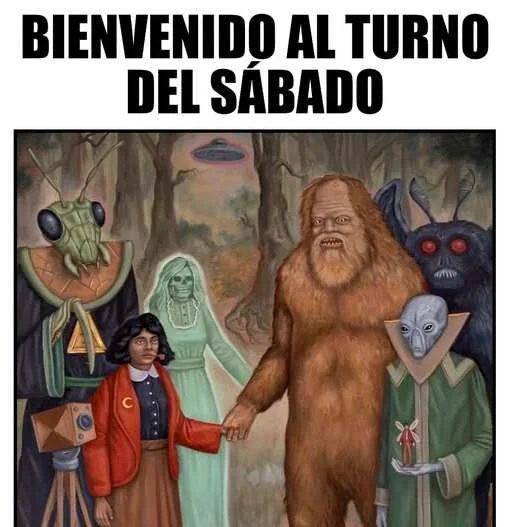 Memes de 'O el nocturno O.o': ¡El búho que nos desvela!