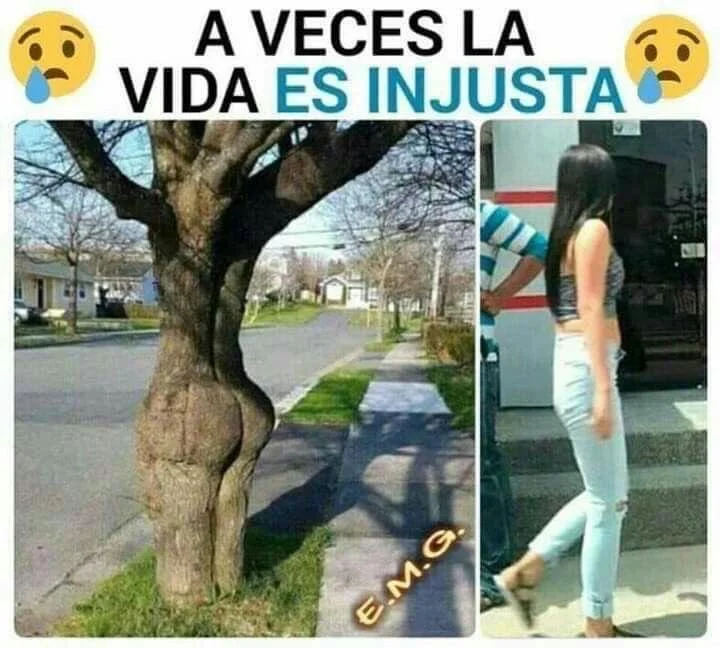 Cuando llegas tarde a la repartición