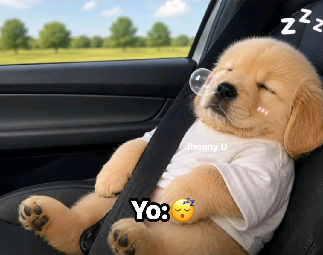 Yo de copiloto: La evolución de mi mood en el asiento de al lado