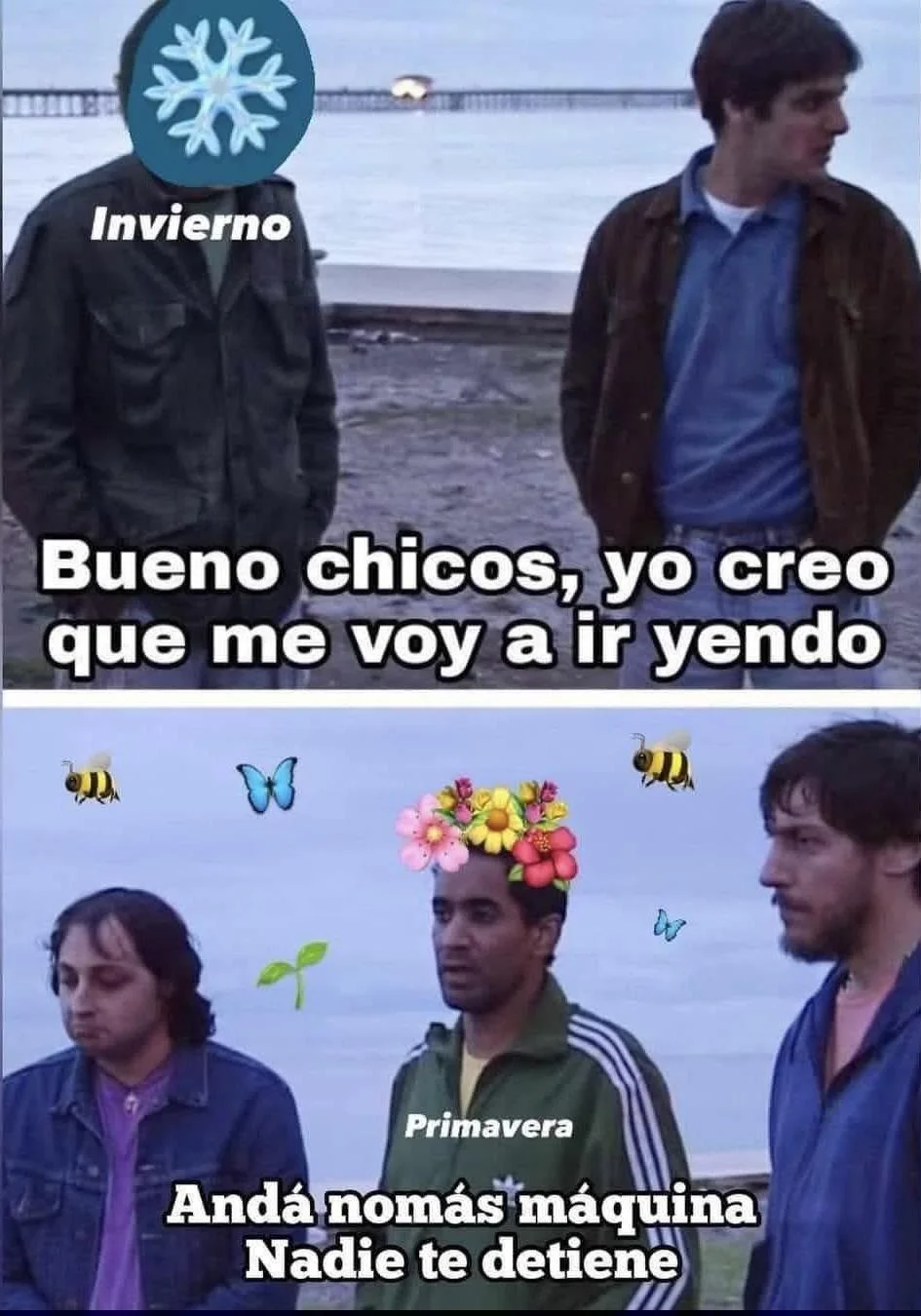 Hace frío, ¿no? Los mejores memes para el clima fresco