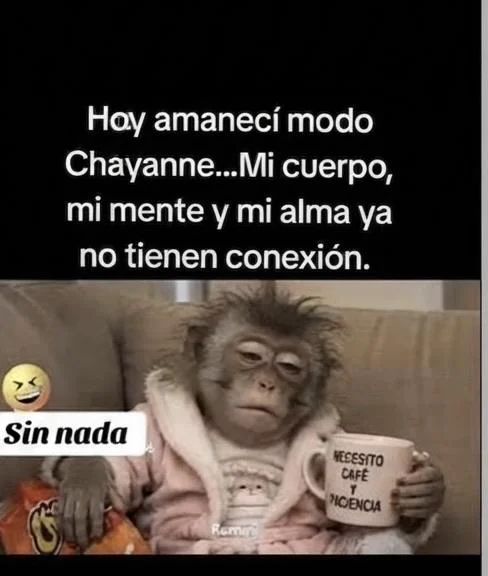 Modo Chayanne activado: desconexión total del sistema 🦧☕️