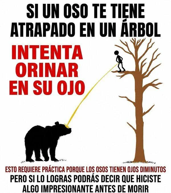 Consejo clave para tu sitio de memes: ¡Hazlo viral!
