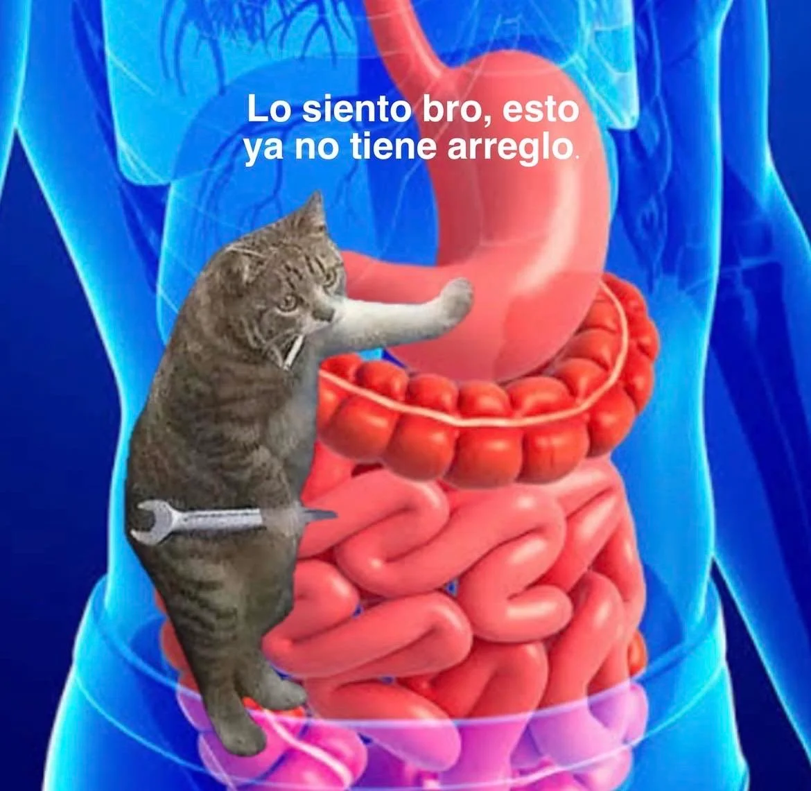 memes de viernes parte 3 ahora sí