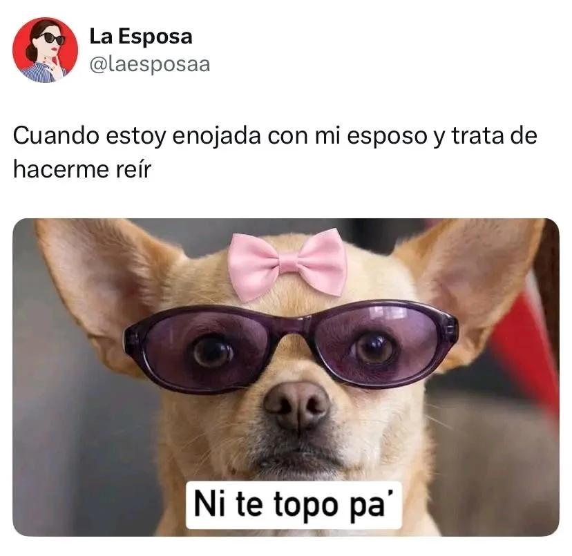 Ni te conozco señor: El meme viral que te hará reír