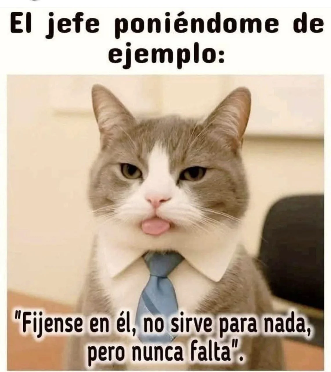Cuando el meme te salva: ¡De algo sirvió!