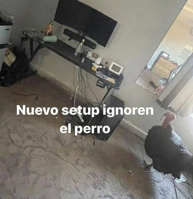 Memes: ¿Qué opinas de los virales de México y Latam?