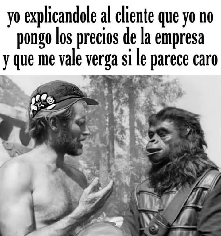 Simio no entender: Los memes más confusos y divertidos