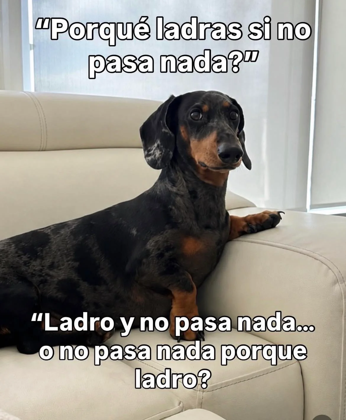 memes de hoy, parte 3 🌈💓