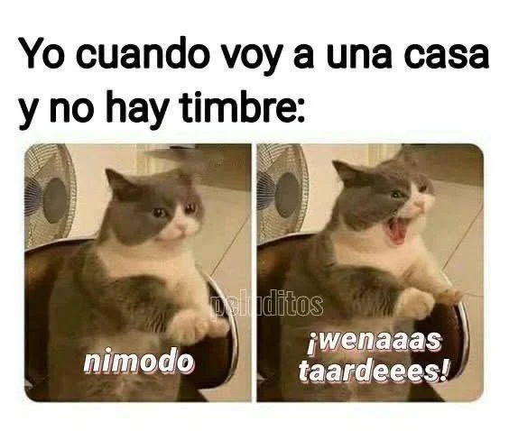 Memes de "Igual atienden jajajaj": Cuando la esperanza muere al último