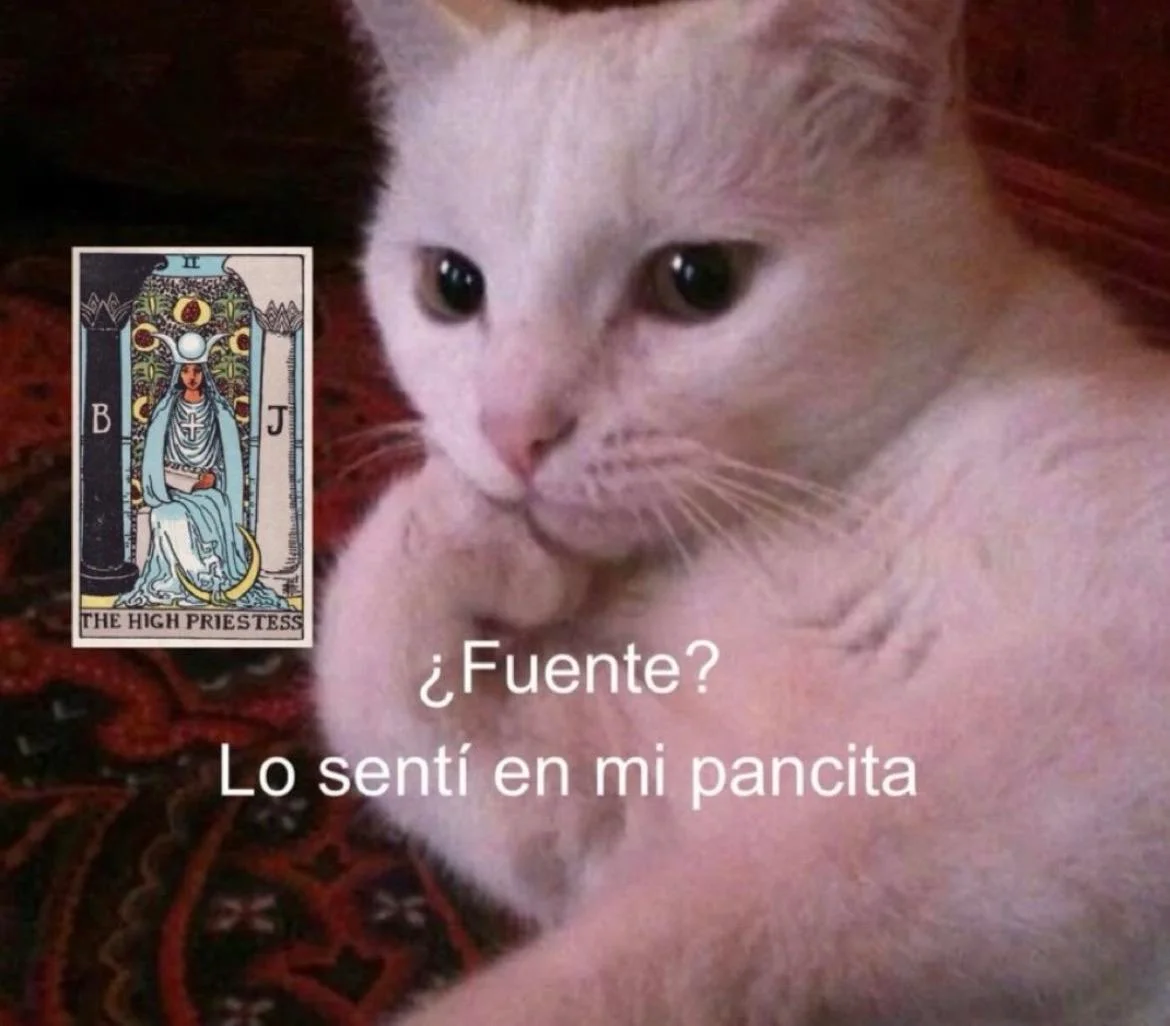 memes de hoy, parte 3💝