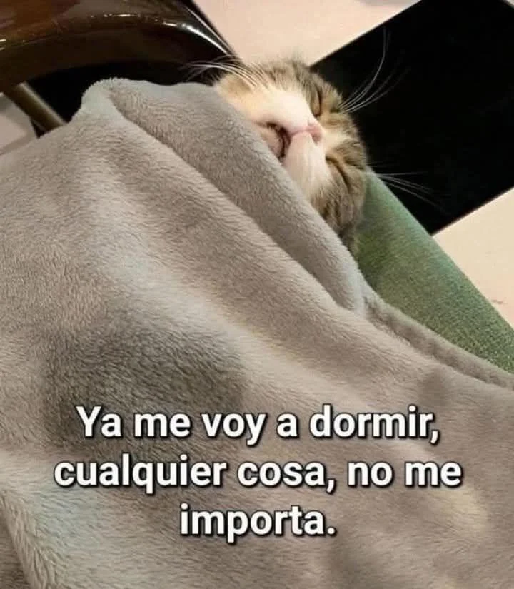 Mi actitud ante problemas después de las 10 PM: memes de sueño