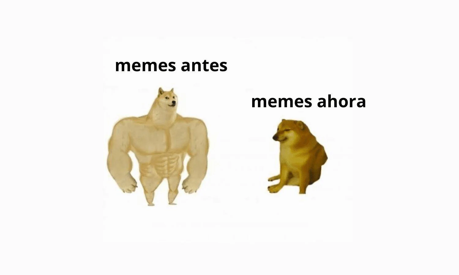 Jajaja o no que si ?