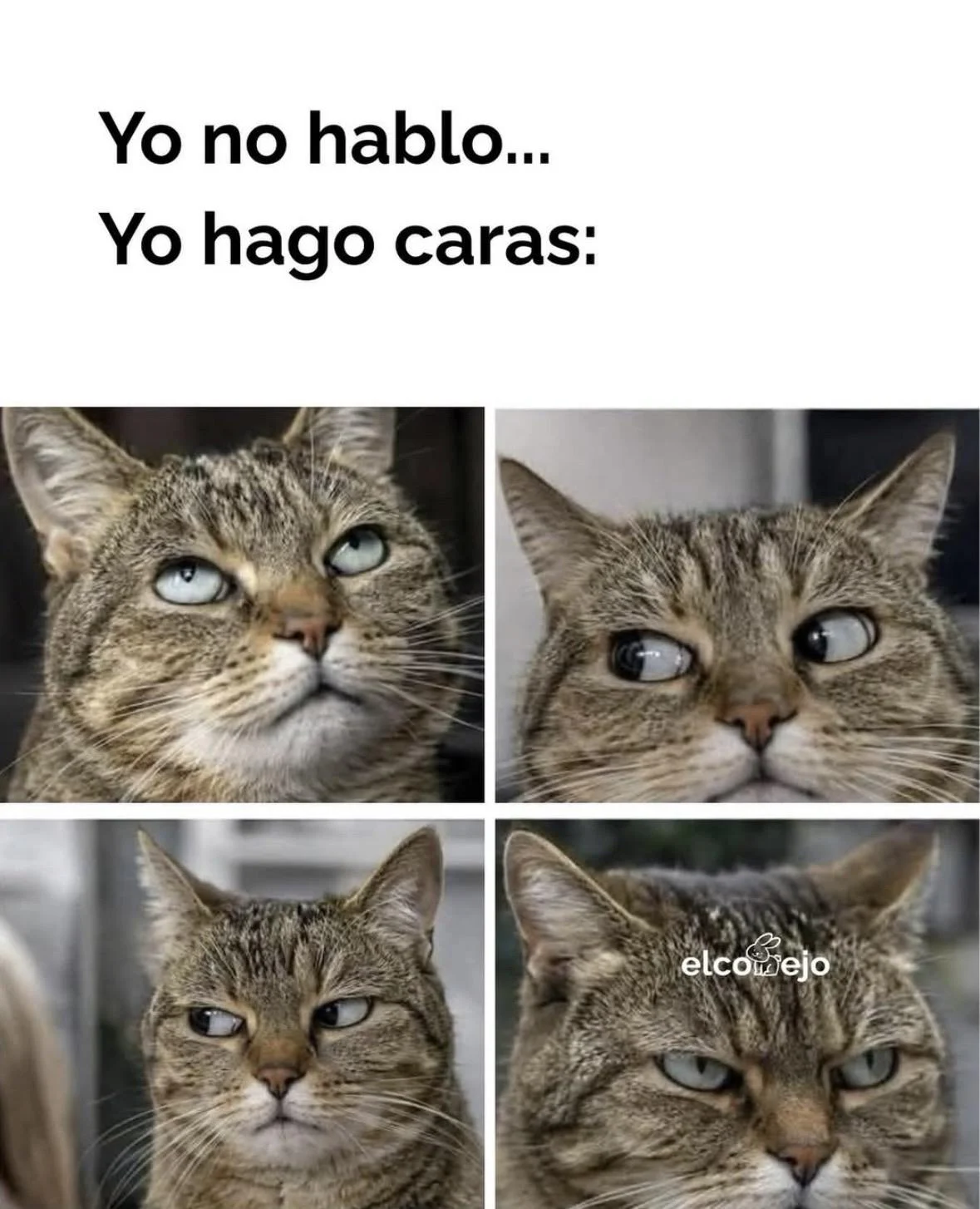 Lo que se ve no se pregunta