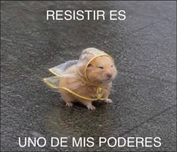 Cuando el meme te consume: "Hasta no poder más"