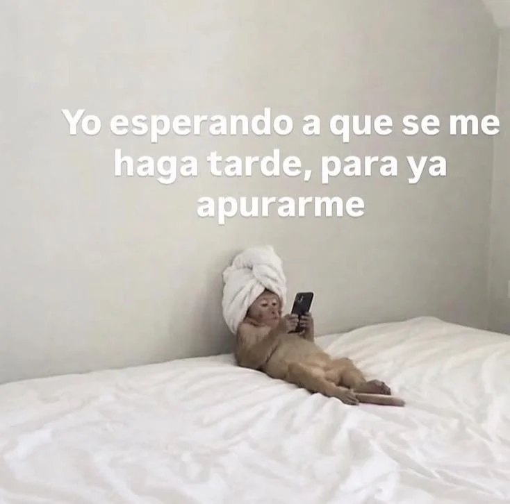 Soy definitivamente: Memes que te representan al 100%