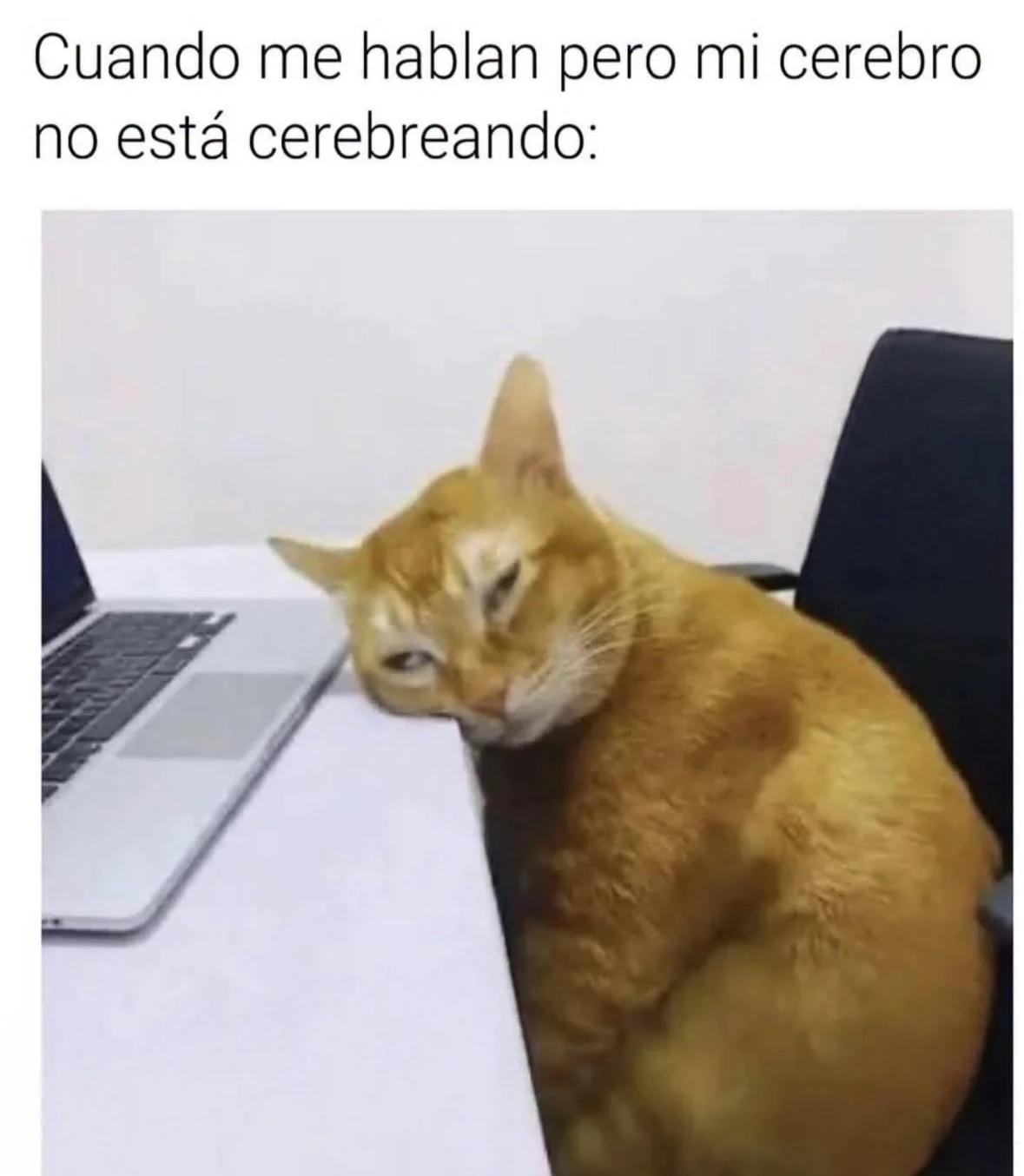 Cuando la vida no sincroniza: Memes de fallas técnicas y glitches