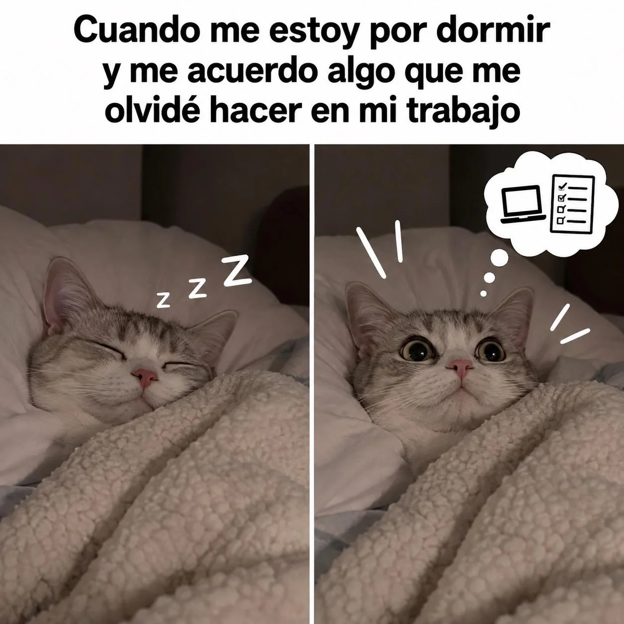 Meme: ¿Soy la única que siente esto? ¡No estás solo! 😂