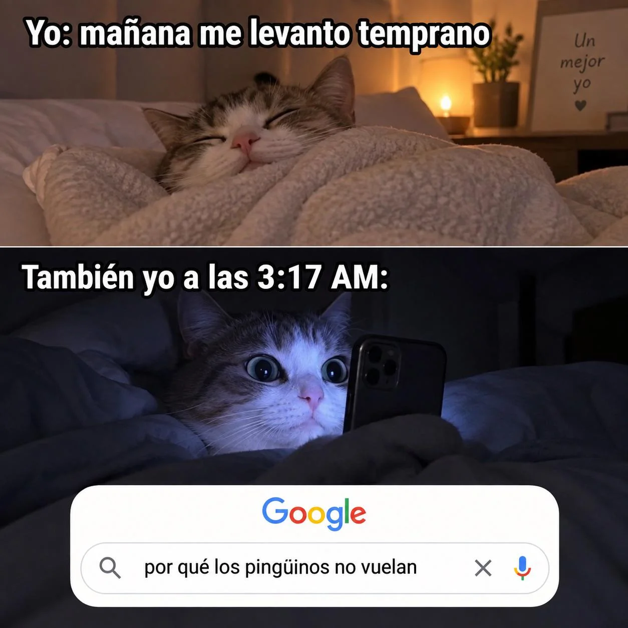 Necesito dejar de hacer esto !