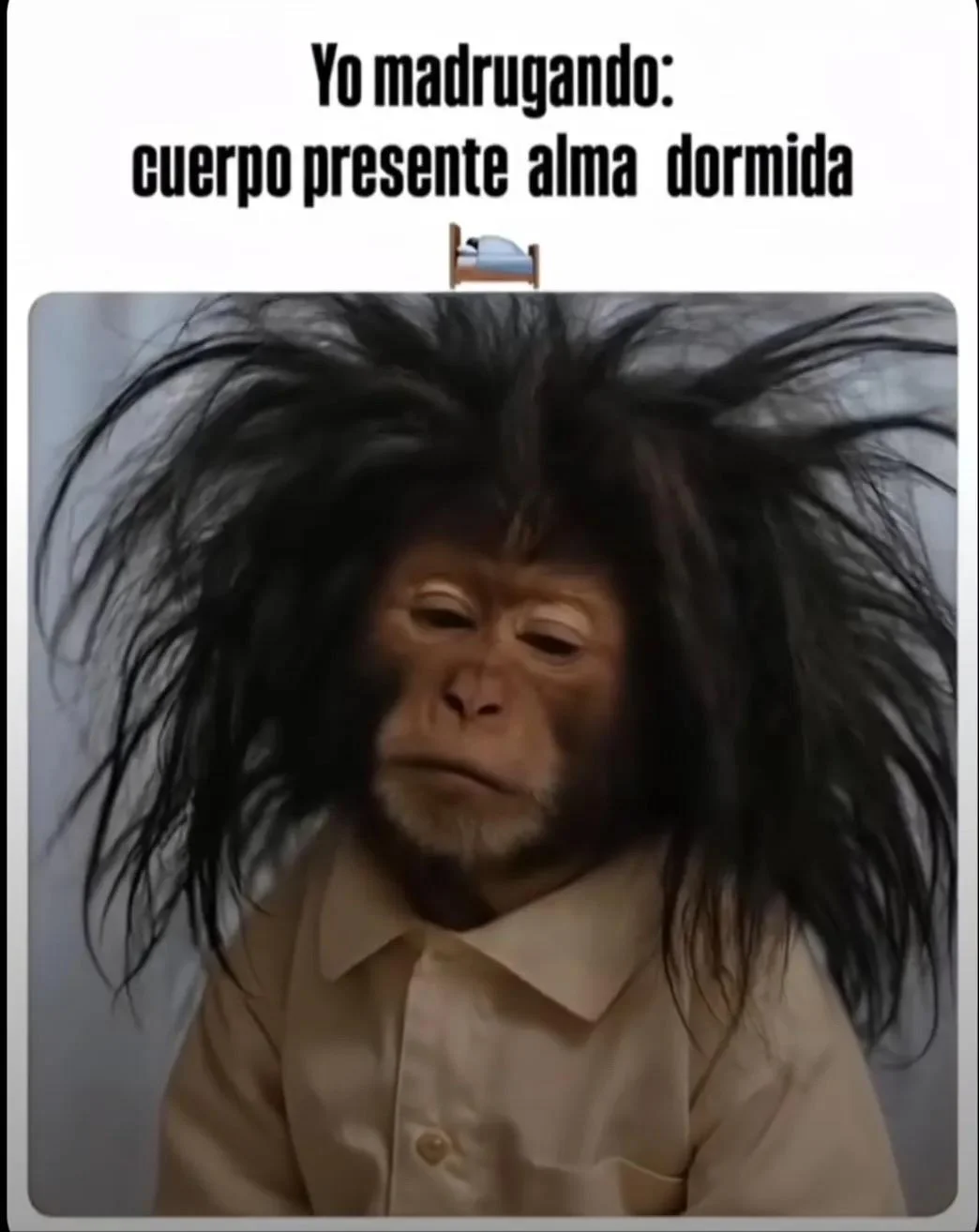 Mis mañanas en memes: ¡Identifícate con este resumen gráfico!