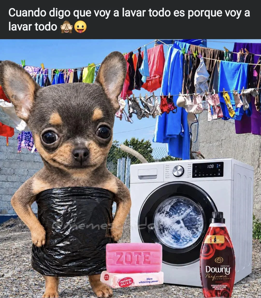 Día de Lavación: El meme viral que te hará reír a carcajadas