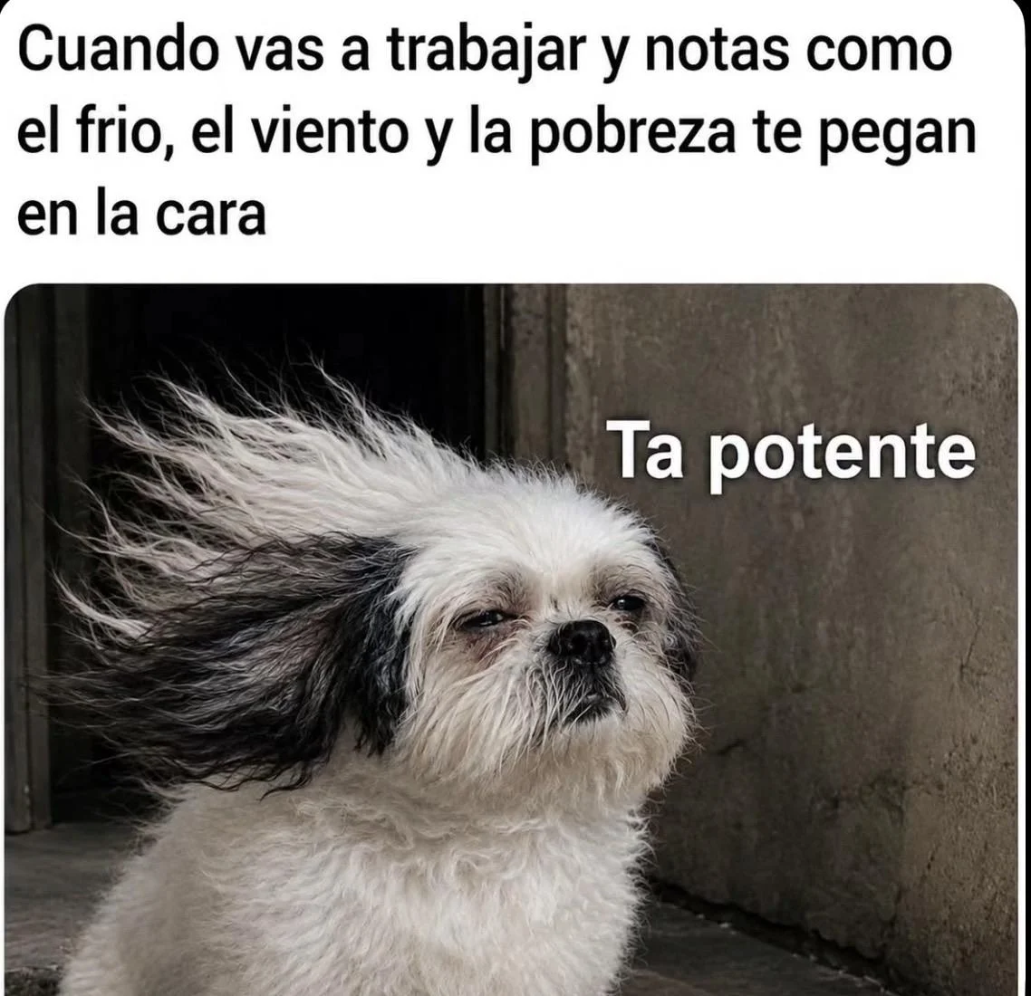 Lunes de memes: ¡Si es lunes, peor! Jajajaja