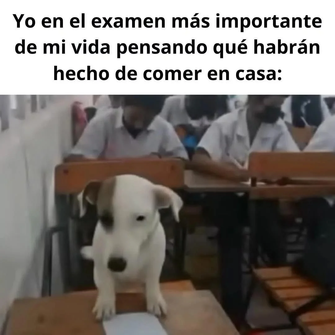 XD: El meme universal que nos une a todos