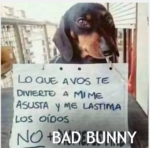 Memes de 'No +': La mejor colección para reír sin parar