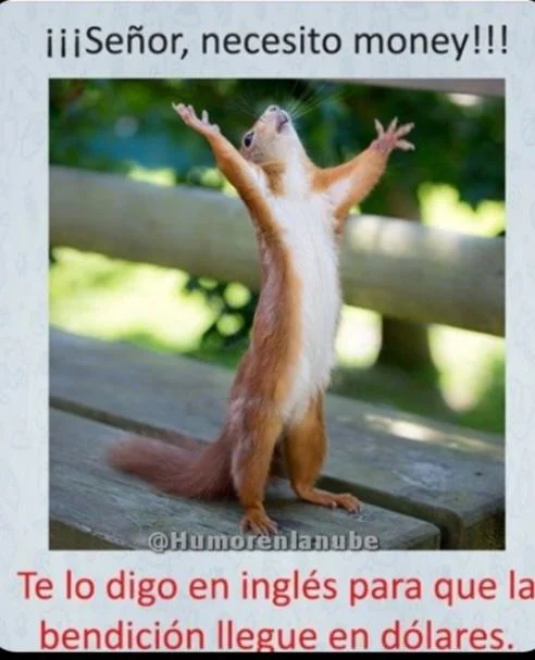 Money Dios Money: El meme que te hará pedir más
