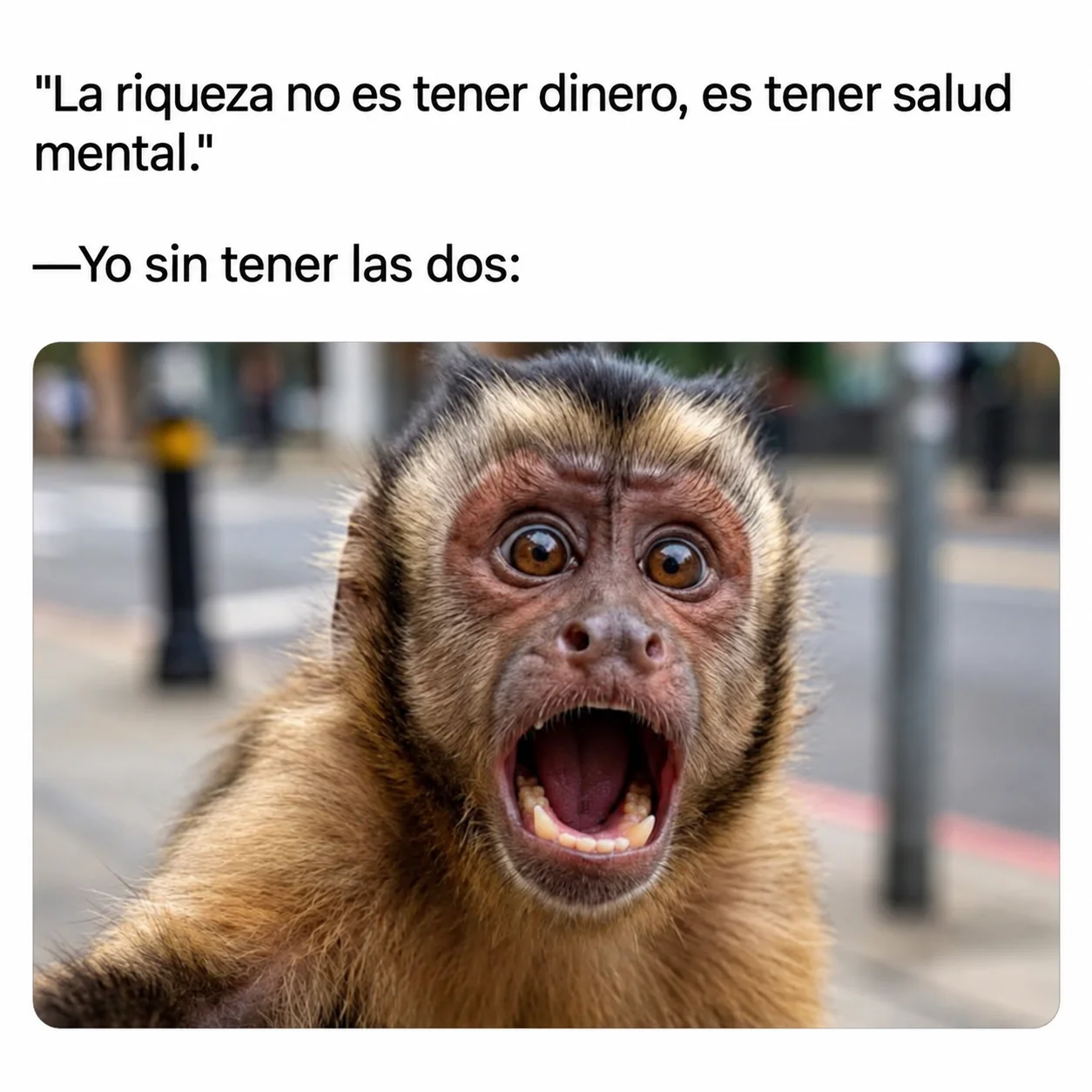 Jajaj rayos 🫢...