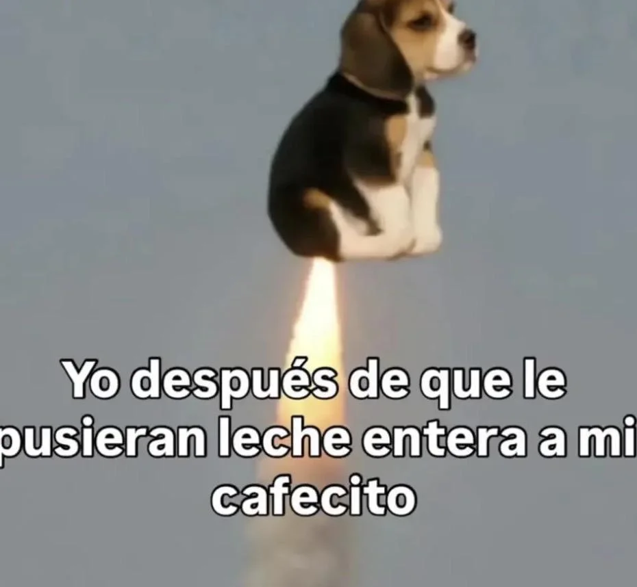 Fuga pal baño: El meme viral que te hará reír a carcajadas