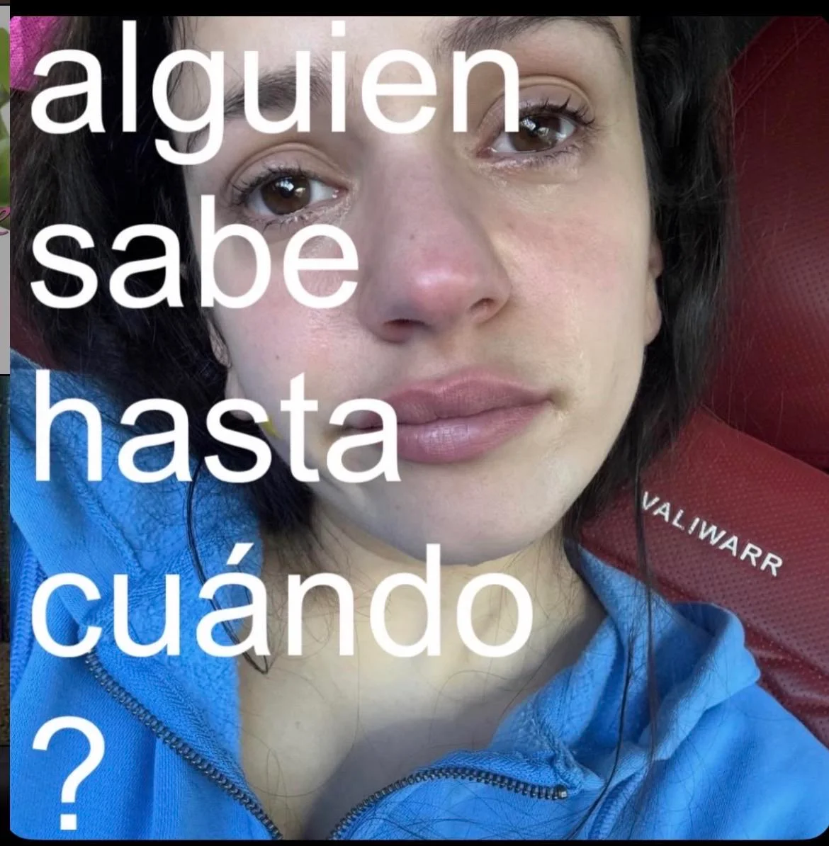 memes de hoy 🚨