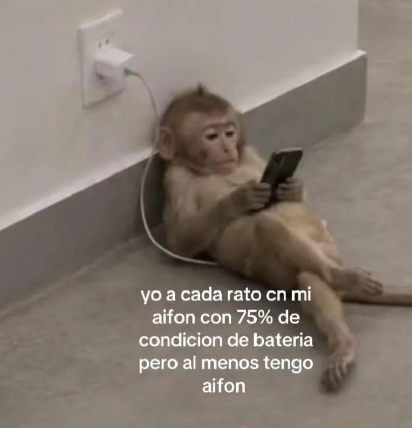 Memes de 'No cualquiera 💅': ¡Humor para gente con estilo!