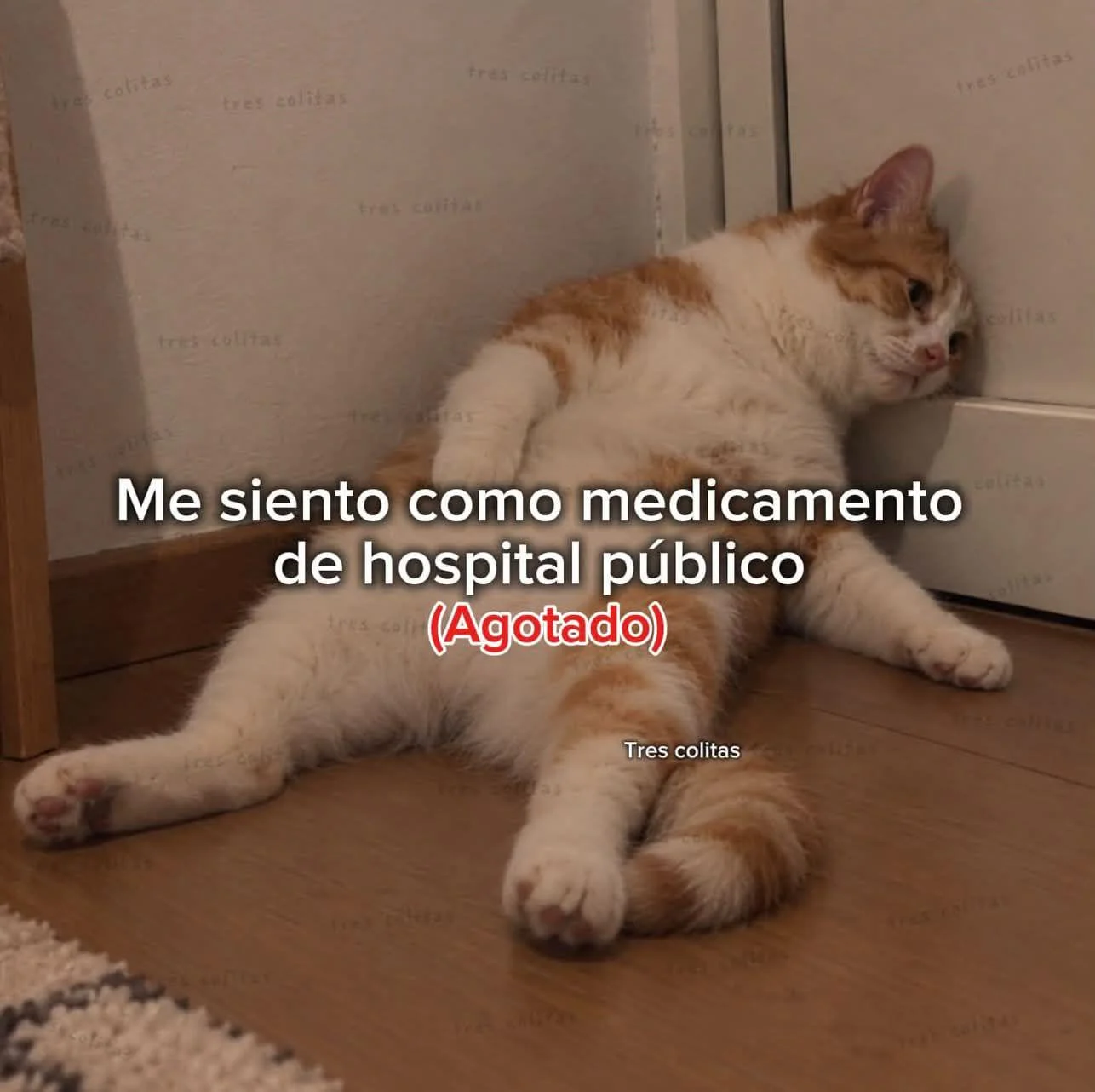 ¡Que ya sea viernes! Memes para el fin de semana